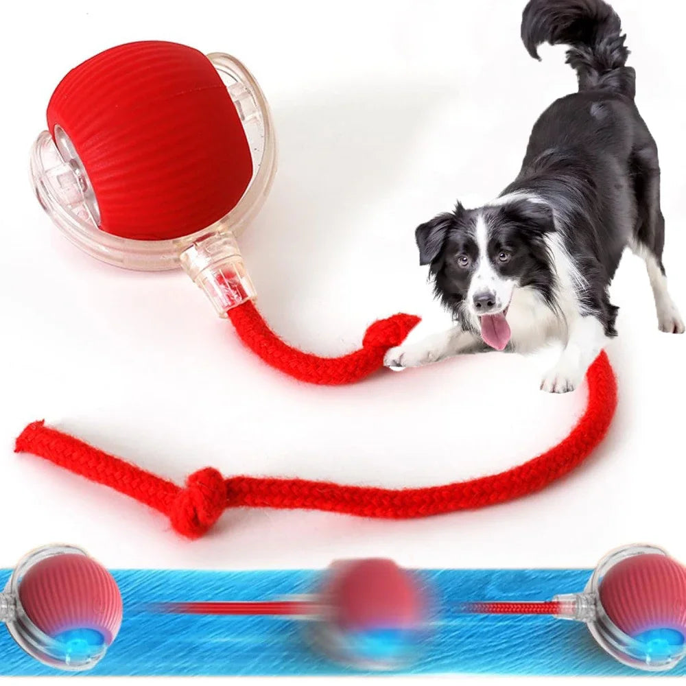 2025 Hot Electric Dog Ball Toys Automatic Rolling Ball Rechargeable Smart Pet Interactive Plush Toy Dog Cat Training